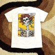 画像1: 【 GRATEFUL DEAD / グレイトフル・デッド 】リキッドブルー・オフィシャル・Tシャツ / ３サイズ(M,L,XL)